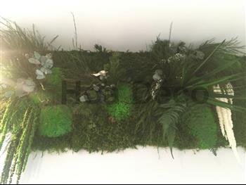 cadre stabilisé lichen Hoa déco mono 22x22cm sur mesure zen spirit green wall tendance