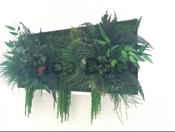 cadre stabilisé lichen Hoa déco mono 22x22cm sur mesure zen spirit green wall tendance