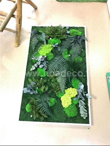 cadre stabilisé lichen vert citron green wall spirit zen