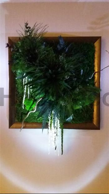 cadre stabilisé lichen Hoa déco mono 22x22cm sur mesure zen spirit green wall tendance