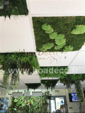 cadre tableau lichen vert citron stabilisé vitrine fond d'ecran Hoa déco atelier design creation mur vegetal stabilisé boston nepholepsis carré 60x60 cm damier gree nwall zen spiri.JPG