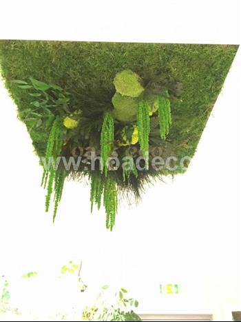 cadre tableau lichen vert citron stabilisé vitrine fond d'ecran Hoa déco atelier design creation mur vegetal stabilisé boston nepholepsis carré 60x60 cm damier