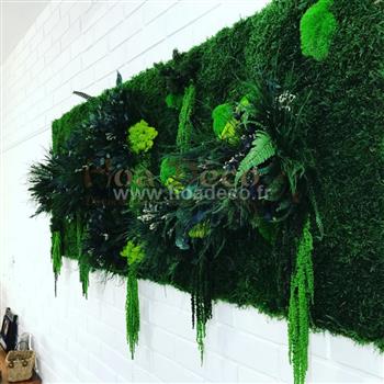 cadre tableau lichen vert citron stabilisé vitrine fond d'ecran Hoa déco atelier design creation