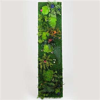 Mur végétal et plante stabilisée à Saint-Malo, Bretagne