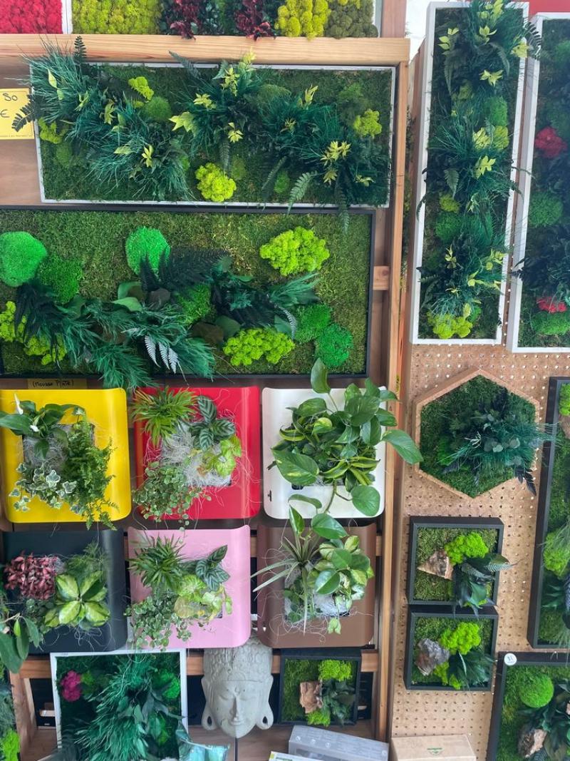 cadre vegetal vegetauxstabilisé naturel wall flower by hoa deco design art