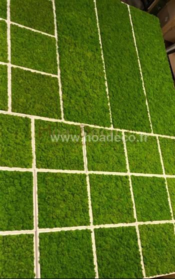 Cadres en lichens vert citron Hoa Déco - Connectis 2019 - PRO - Mosaique - Green wall spirit mur de cadre vegeta