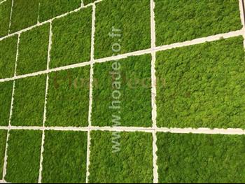 Cadres en lichens vert citron Hoa Déco - Connectis 2019 - PRO - Mosaique - Green wall spirit mur de cadre vegeta