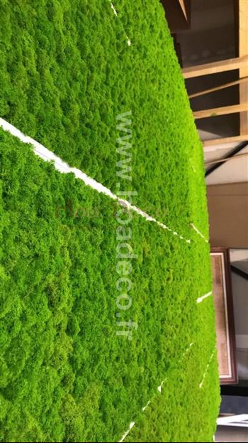 Cadres en lichens vert citron Hoa Déco - Connectis 2019 - PRO - Mosaique - Green wall spirit zen cadres tableau vegetaux murs rectangle carré design architecture foret amazonienne