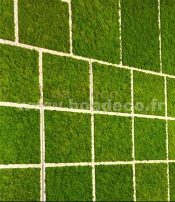 Cadres en lichens vert citron Hoa Déco - Connectis 2019 - PRO - Mosaique - Green wall spirit zen cadres tableau vegetaux mur