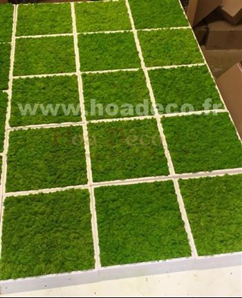 Cadres en lichens vert citron Hoa Déco - Connectis 2019 - PRO