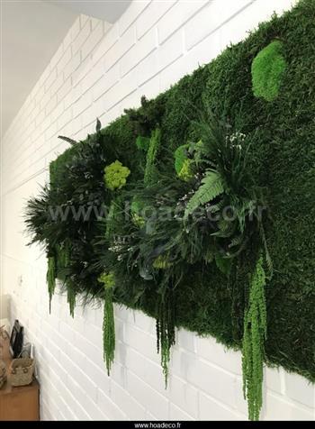Cadre stabilisé lichen vert citron fougère base nature green wall spirit zen.jpg - 234ko fr : cadre stabilisé lichen vert citron fougère base nature green wall spirit zen cadres vegetaux stabilisé hoa déco atelier gamme green nature spirit wall particulier mur vegetal fleurs