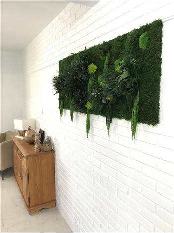 cadres vegetaux stabilisé hoa déco atelier gamme green nature spirit wall particulier mur vegetal salo