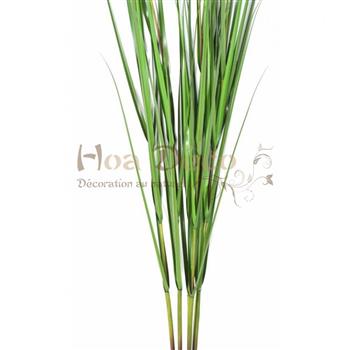carex-vulpina-245-cm-vendu-par-12 HOA DECO ARTIFICIEL CADRE VEGETAL MUR.
