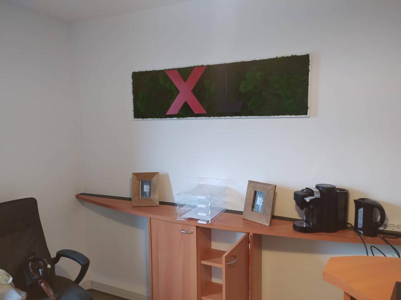 Carrosserie XL cadre mur vegetal hoa deco Logo vegetal