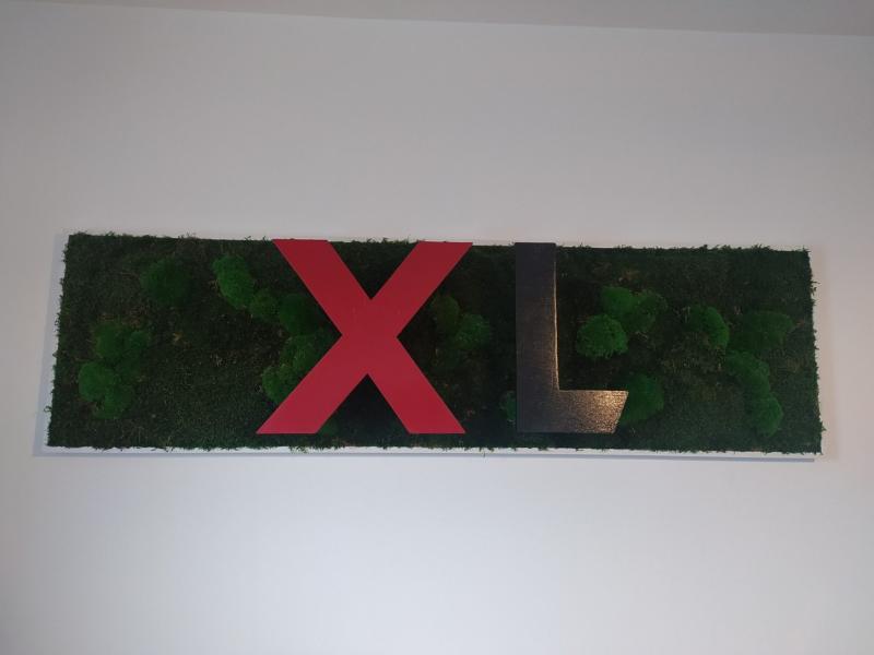 Carrosserie XL cadre mur vegetal