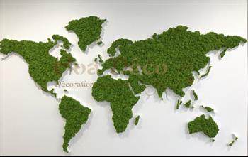 carte du monde internet reduite