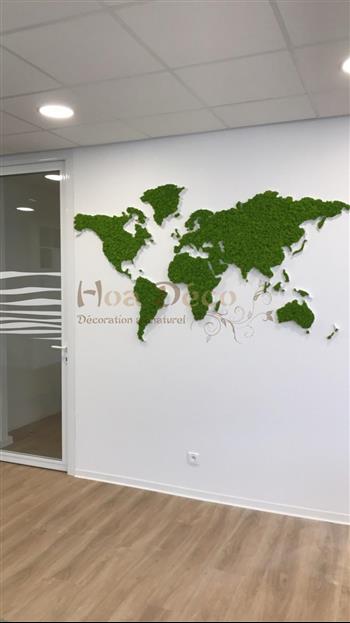 carte du monde stabilisée en lichen cadre tableaux hoa deco creation 2020 murs vegetaux stabilisé lichen