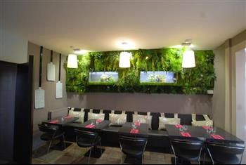 Mur stabilisé Hoa Déco pizzéria Casa Cosi St Malo