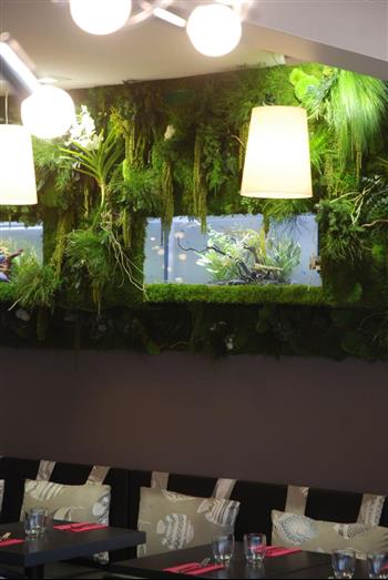 casa-cosi-pizzeria-saint-malo2 mur stabilisé hoa déco green