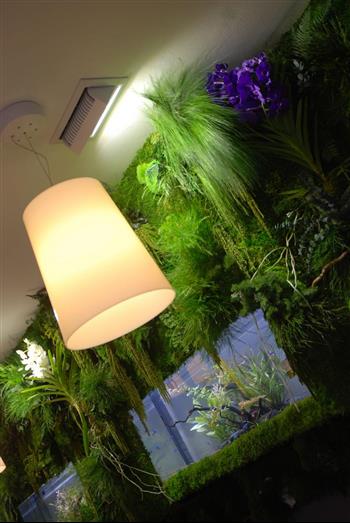 casa-cosi-pizzeria-saint-malo2 mur stabilisé hoa déco green