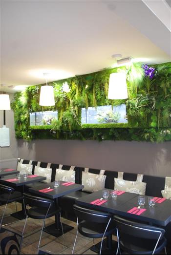casa-cosi-pizzeria-saint-malo2 mur stabilisé hoa déco green