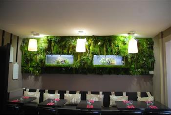 casa-cosi-pizzeria-saint-malo2 mur stabilisé hoa déco green