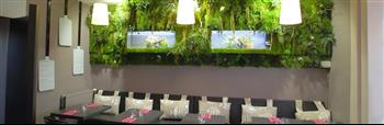 casa-cosi-pizzeria-saint-malo2 mur stabilisé hoa déco green
