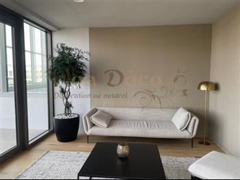 Centre Mondial de l'Innovation Roullier st malo bureaux arbres plante stabilisée salle de reunion murs vegetaux by HOA DECO