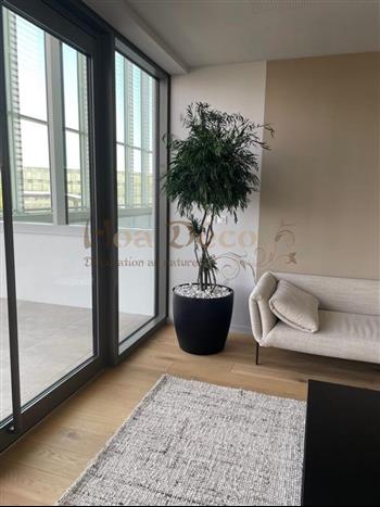 Centre Mondial de l'Innovation Roullier st malo bureaux arbres plante stabilisée