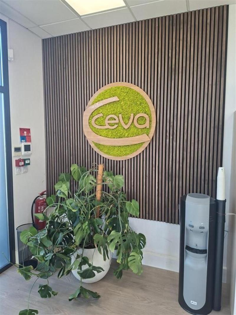 Ceva Logo panneau bois insonorisant HOA DECO HALL ACCUEI