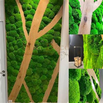 chaleur eco 35 - mur végétal stabilisé mousse boule chene bois massif HOA DECO green wall design création spirit zen