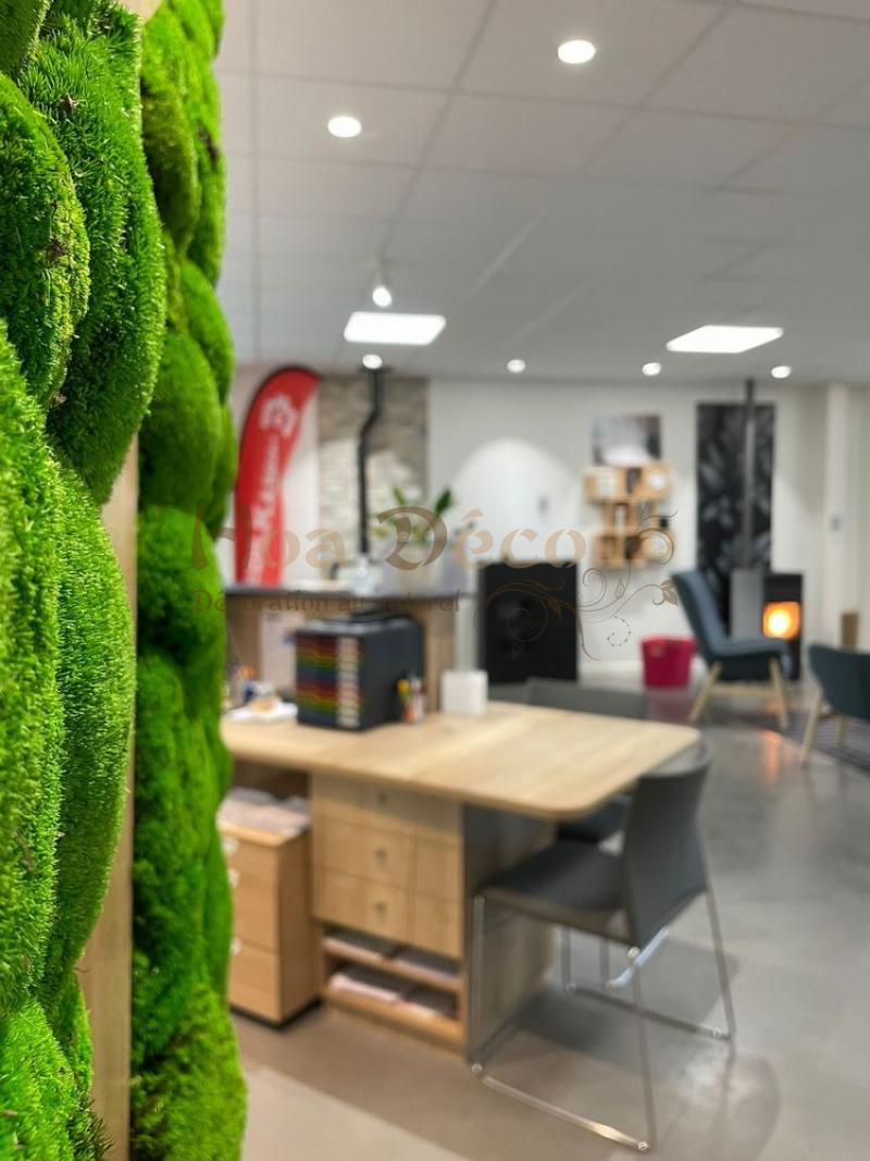 Mur végétal et plante stabilisée à Saint-Malo, Bretagne