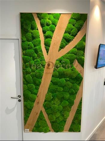 chaleur eco st malo - mur vegetal stabilisé mousse boule foret green zen spirit esprit wall design bois flotté ecorce chene