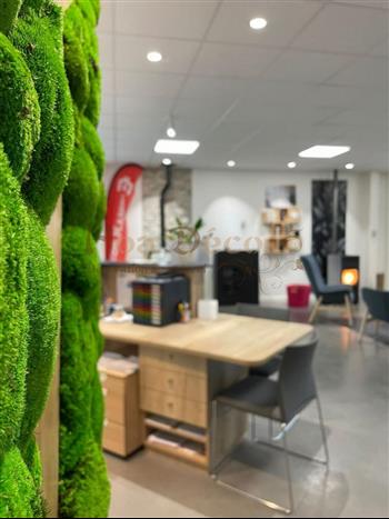 chaleur eco st malo - mur vegetal stabilisé mousse boule foret green zen spirit esprit wall design bois flotté ecorce