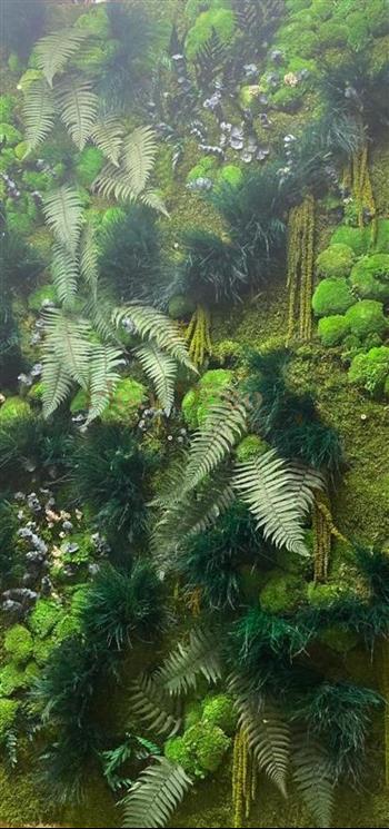 particulier 93 - mur vegetal stabilisé mousse fougères naturelles foret green zen spirit esprit wall design bois flotté ecorce