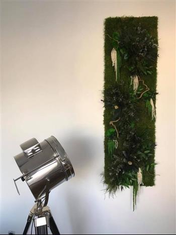 création mur vegetal cadre stabilisé sur mesure Hoa Déco Green design Hoa déco