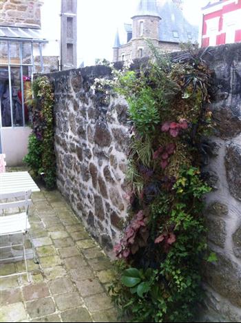 Mur végétal et plante stabilisée à Saint-Malo, Bretagne