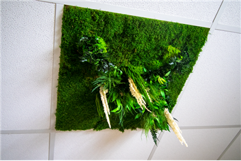 dalle plafond vegetal hoa deco zen spirit attitude professionel particulier decoration interieur Gree