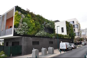 Mur végétal naturel green wall design Hoa Déco