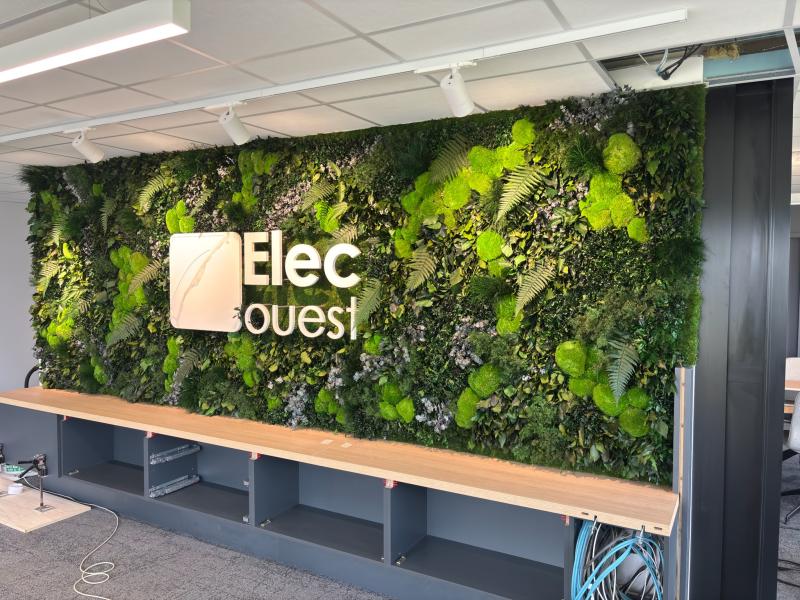 décoration professionnelle, mur végétal accueil, décoration murale végétale, mousse stabilisée, plantes stabilisées, végétaux stabilisés, décoration naturelle, design biophilique, bureau végétalisé, aménagement bureau, décoration entreprise, Hoa Déco, Elec Ouest