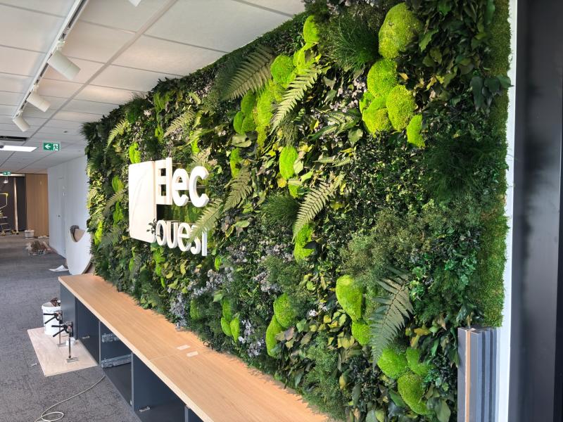 Mur végétal stabilisé sur mesure pour Elec Ouest, réalisé par Hoa Déco. ????