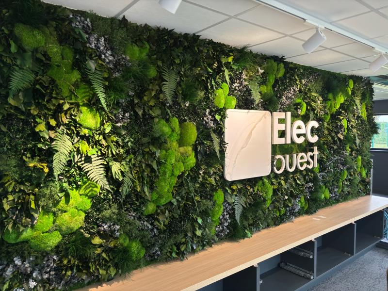 mur végétal stabilisé, mur végétal entreprise, mur végétal intérieur, décoration végétale, décoration bureau, mur végétal sur mesure, logo végétal, logo entreprise végétal, végétalisation entreprise,