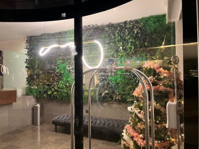 enseigne végétale logo led lumineux murs vegetaux hoa deco murs hotel naturel vivant artificiel stabilisé interieur exterieur hoa deco. arbre vegetal