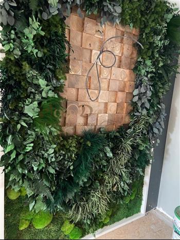 ETPS CORBEAUX mur vegetal stabilisé by HOA DECO plafond vegetal enseigne lichen naturel full vegetaux encadrement sur mesure
