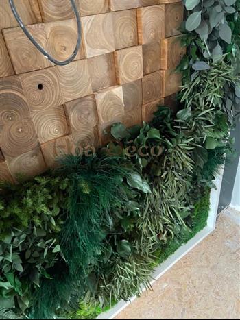 ETPS CORBEAUX mur vegetal stabilisé by HOA DECO plafond vegetal enseigne lichen naturel interieur architecture moderne et naturel bois collés