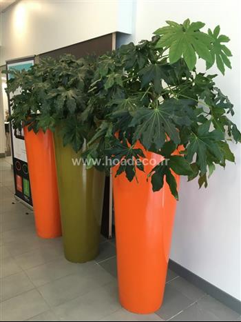 fatsia japonica L'oreal Green Design Hoa Déco tendance plante verte pot