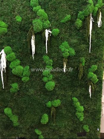 Fond ecran mur végétal stabilisé Hoa déco Deign green esprit lichen amaranthe