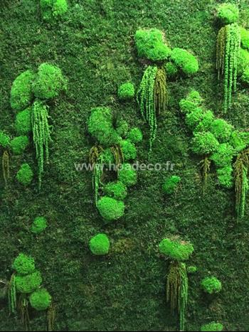 Fond ecran mur végétal stabilisé Hoa déco Deign green esprit