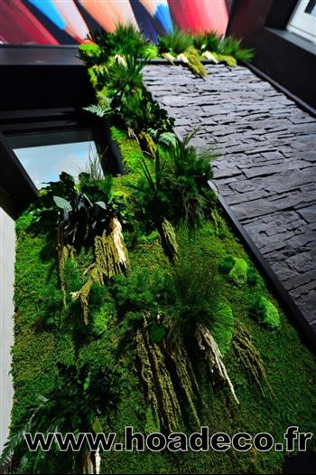Mur végétal et plante stabilisée à Saint-Malo, Bretagne