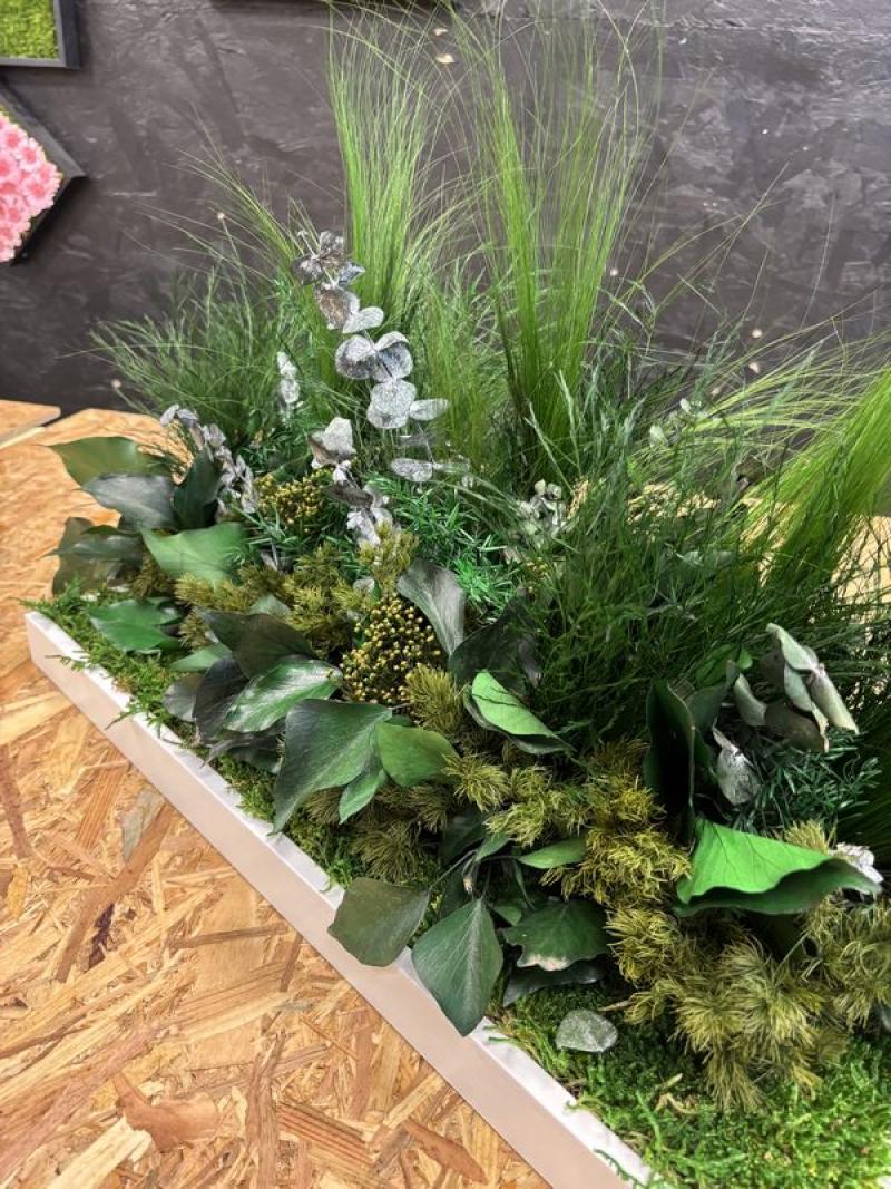 graminées Eucalyptus Jardinières stabilisées bac pot plantes hoa deco